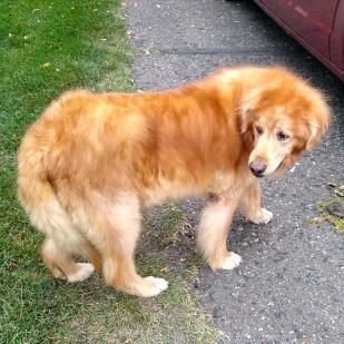Missy 19-051