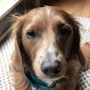 Molly 19-050