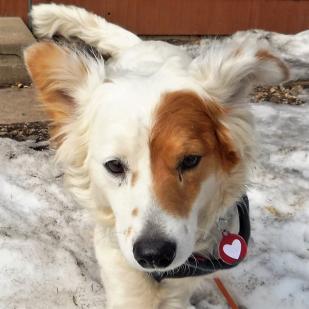 Sadie 19-030