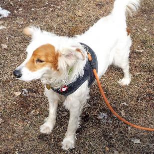 Sadie 19-030