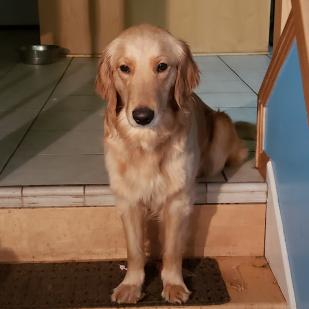 Tasha 19-012