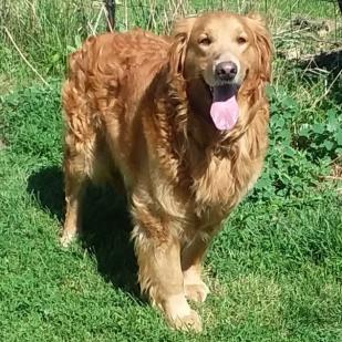 Axel20090a