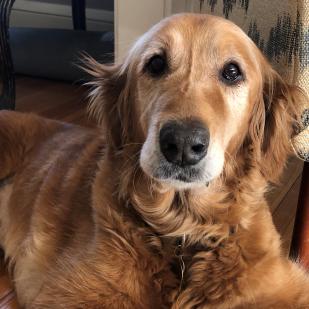 Ellie 20-049