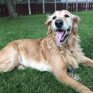 Ellie 20-049