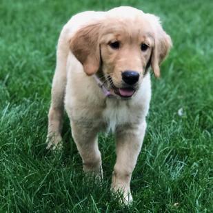 Katie Mae 20-121