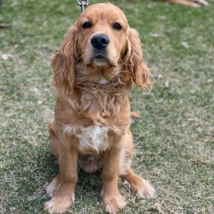 Murphy 20-064A