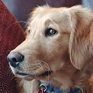 Tucker 20-164