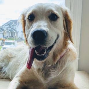 Zoey 20-157