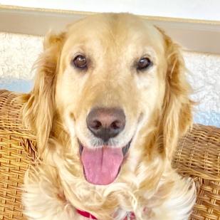 Betsy is not a flight risk but family would have to provide a means of security.