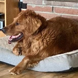 Charlie 21-103