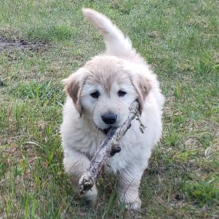Ellie Mae 21-073
