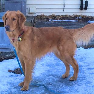 Murphy 21-038