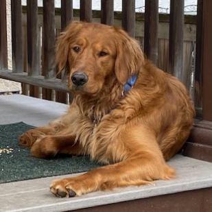 Toby 21-054