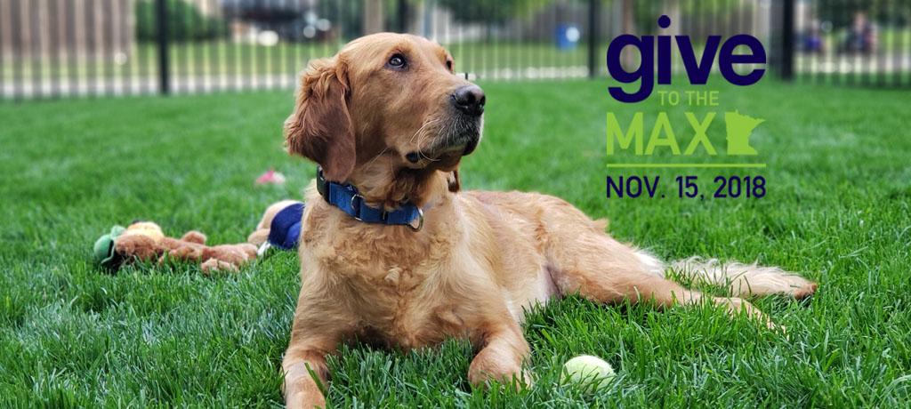 Give to the Max 2018