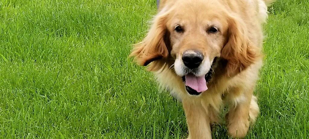 From Lonely to Loved—Mama Has Been Rescued