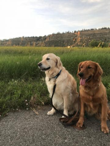 Road trip to Montana, summer 2018 Anders 17-225A