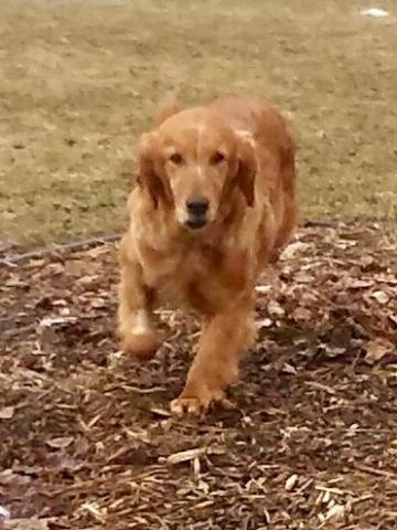 Anya running