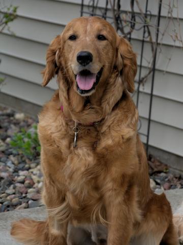 A big smile from Anya