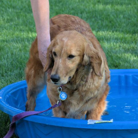 A little cooling off for Anya