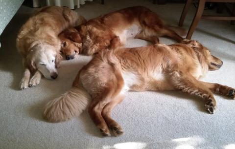 A sleepy crew