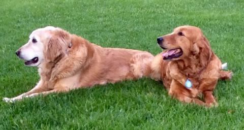 Anya taking it easy with Nic