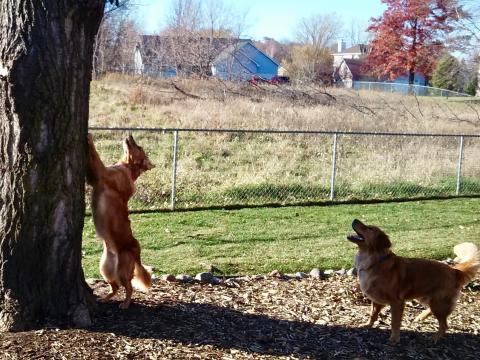 Paddy, watch my back - I got this one.