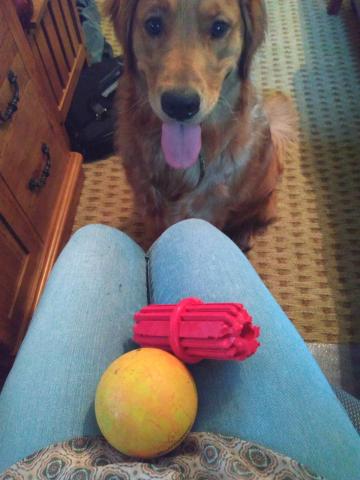Stop working. Let's play!