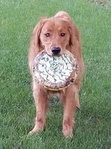 Time to play!