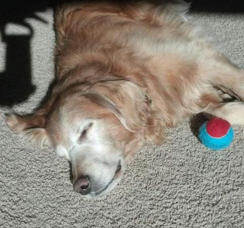 Bailey 09-400