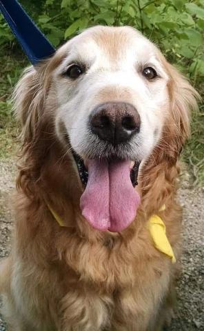 Bailey 09-400