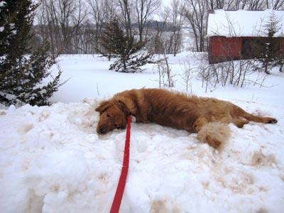 Making snow angels