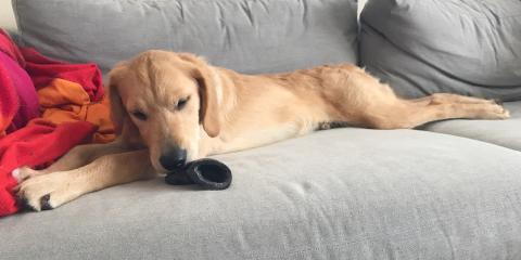Can I chew on this?