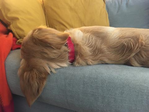 Just lounging...