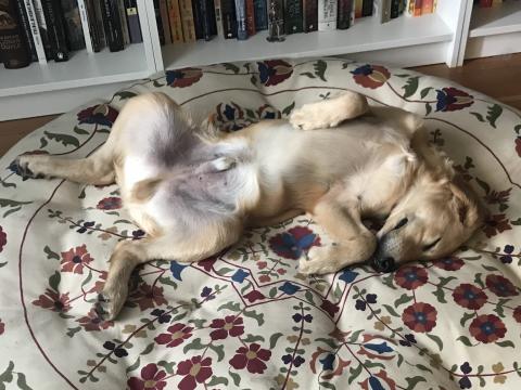 ... and relaxing.