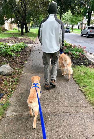 Walking is so much fun!
