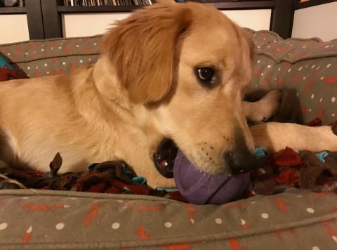 I think I like this ball.