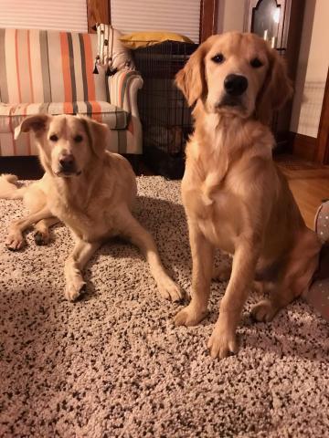 Posing so patiently for the camera.