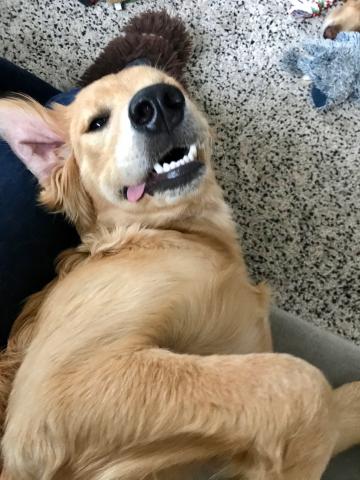Is this how you roll over?