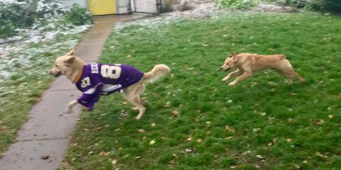 Zoomies!