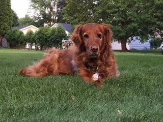 Cassie 13-289
