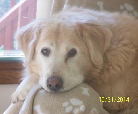 Charlie 08-382