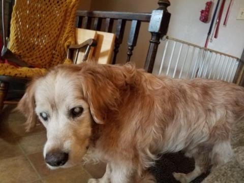 Charlie 12-134