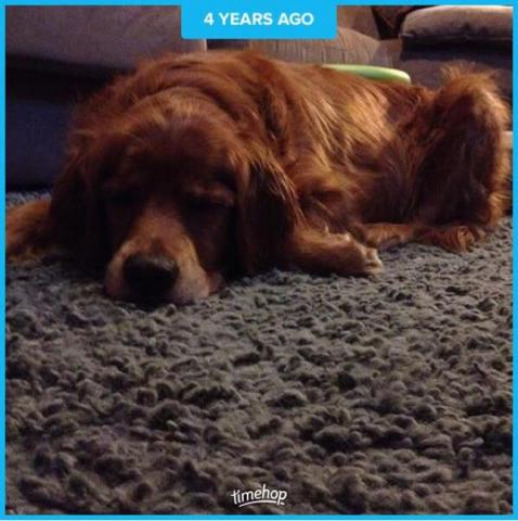 Charlie 12-134