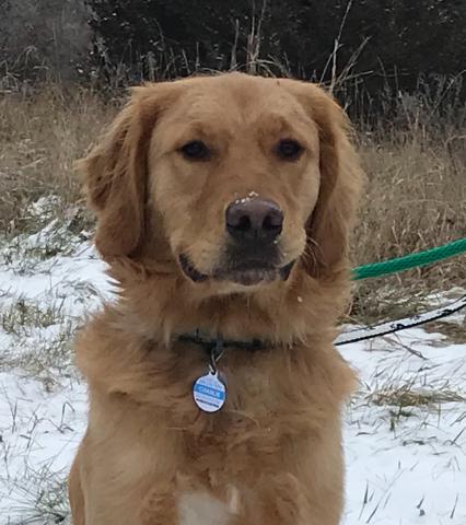 Charlie 18-259