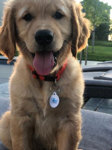 Chip sporting his irresistible smile