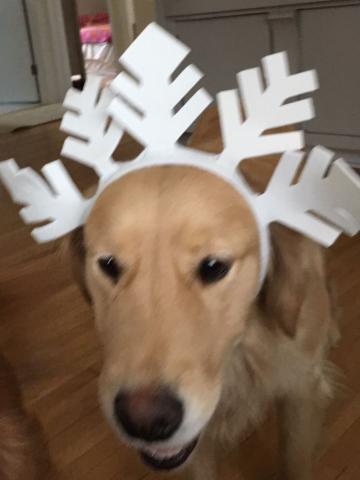 Time to don the holiday costumes.