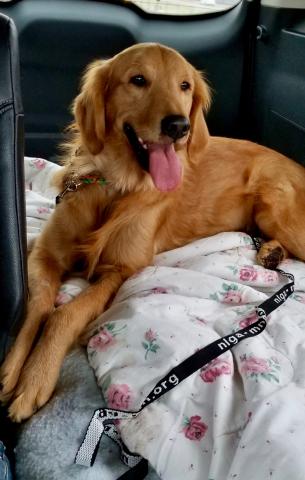 Riding to my new home with my family.