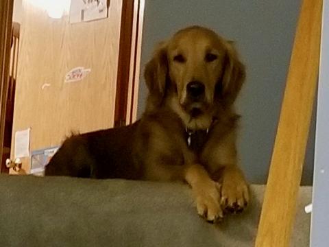 Hey, look, l made it home!