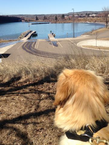 Goodbye, Two Harbors! I am off to my forever home!!