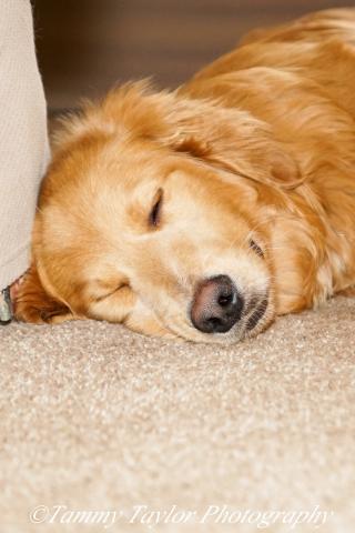 Photo shoots are hard work, night night.